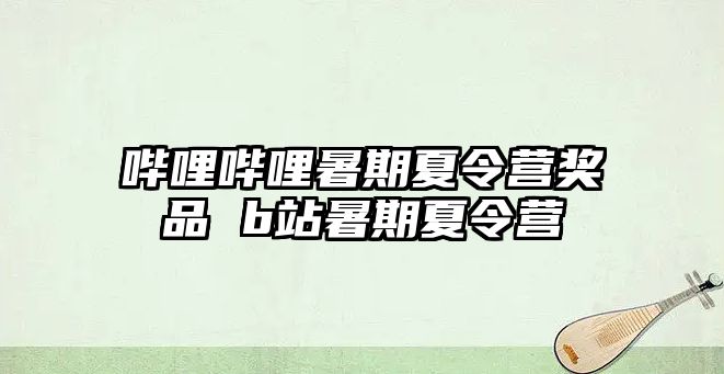 嗶哩嗶哩暑期夏令營獎品 b站暑期夏令營