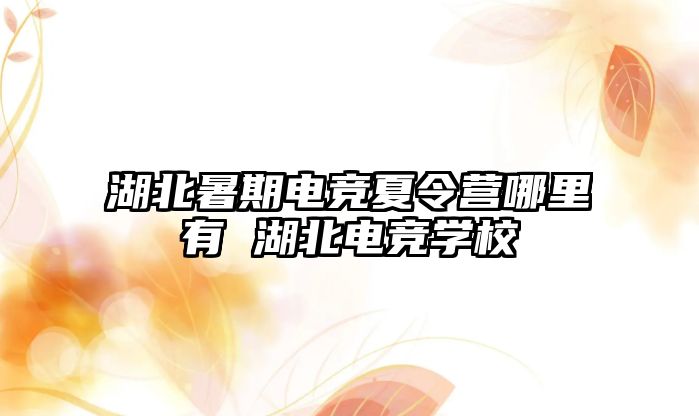 湖北暑期電競夏令營哪里有 湖北電競學校