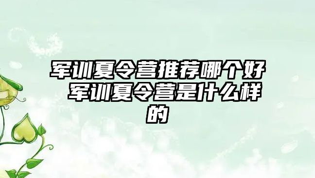 軍訓夏令營推薦哪個好 軍訓夏令營是什么樣的