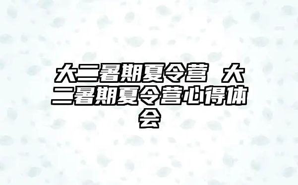 大二暑期夏令營 大二暑期夏令營心得體會