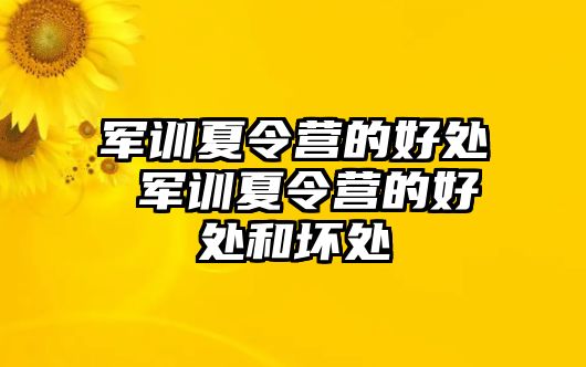 軍訓夏令營的好處 軍訓夏令營的好處和壞處