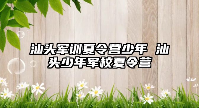 汕頭軍訓(xùn)夏令營少年 汕頭少年軍校夏令營