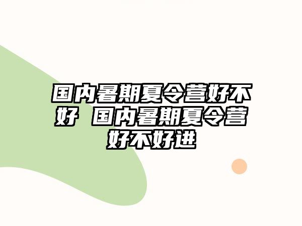 國內(nèi)暑期夏令營(yíng)好不好 國內(nèi)暑期夏令營(yíng)好不好進(jìn)