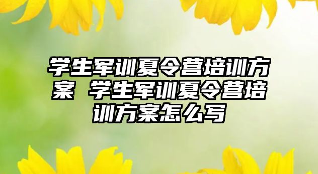 學生軍訓夏令營培訓方案 學生軍訓夏令營培訓方案怎么寫