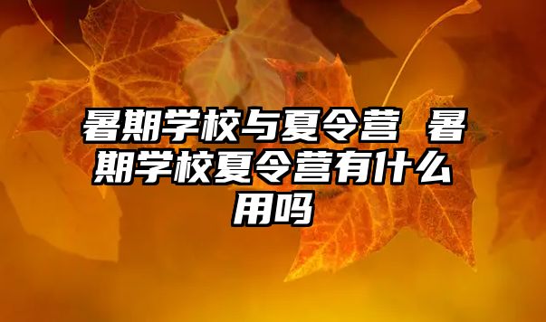 暑期學校與夏令營 暑期學校夏令營有什么用嗎