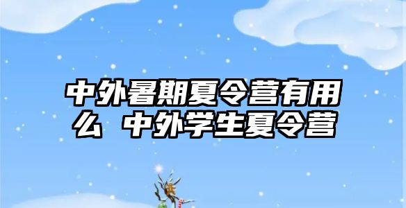 中外暑期夏令營有用么 中外學生夏令營