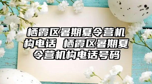 棲霞區暑期夏令營機構電話 棲霞區暑期夏令營機構電話號碼