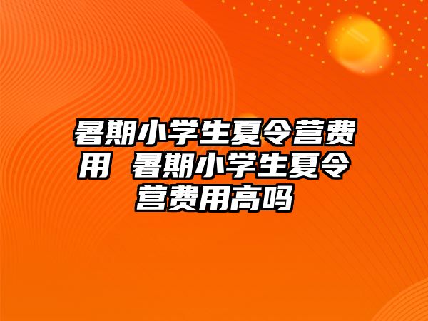 暑期小學生夏令營費用 暑期小學生夏令營費用高嗎