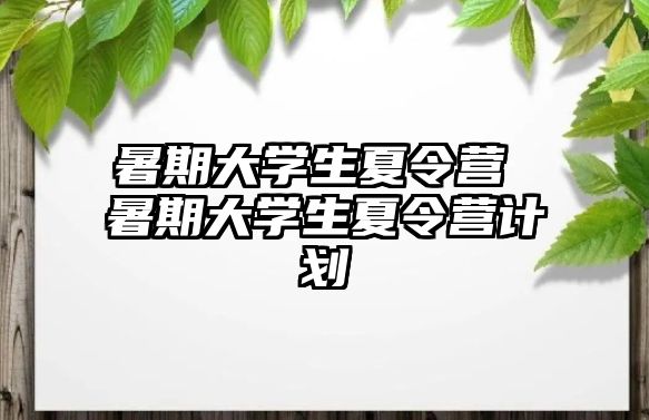 暑期大學生夏令營 暑期大學生夏令營計劃