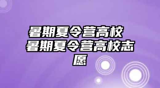 暑期夏令營高校 暑期夏令營高校志愿