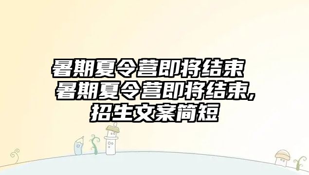 暑期夏令營即將結束 暑期夏令營即將結束,招生文案簡短