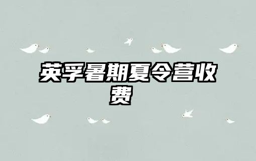 英孚暑期夏令營收費 
