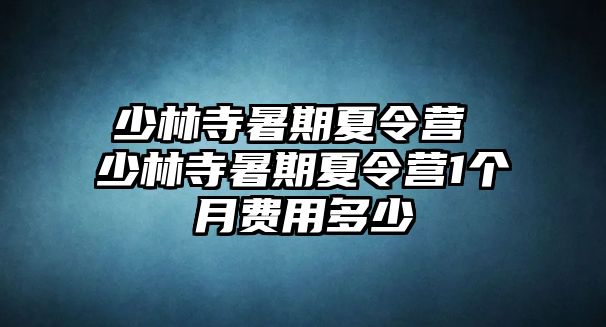 少林寺暑期夏令營 少林寺暑期夏令營1個月費用多少