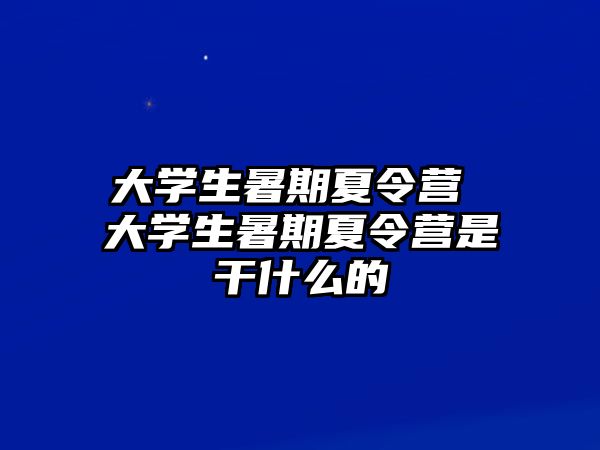 大學(xué)生暑期夏令營 大學(xué)生暑期夏令營是干什么的