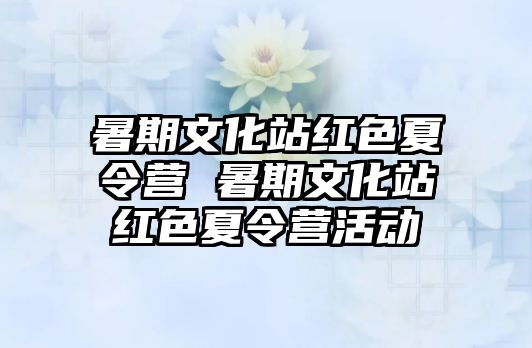 暑期文化站紅色夏令營 暑期文化站紅色夏令營活動(dòng)