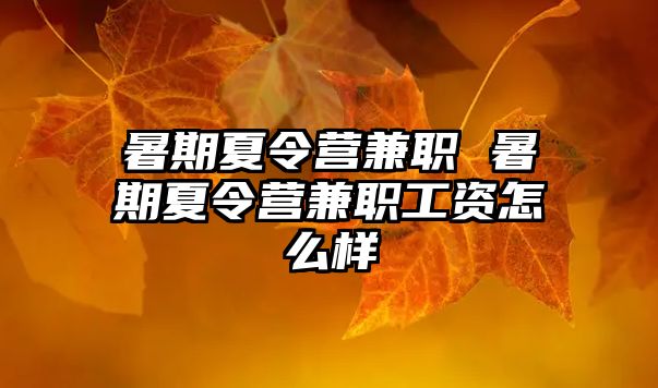 暑期夏令營兼職 暑期夏令營兼職工資怎么樣