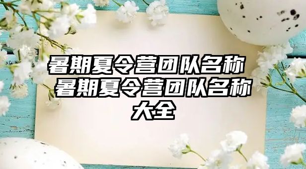暑期夏令營團(tuán)隊(duì)名稱 暑期夏令營團(tuán)隊(duì)名稱大全