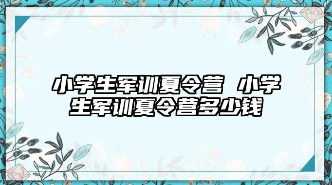 小學生軍訓夏令營 小學生軍訓夏令營多少錢