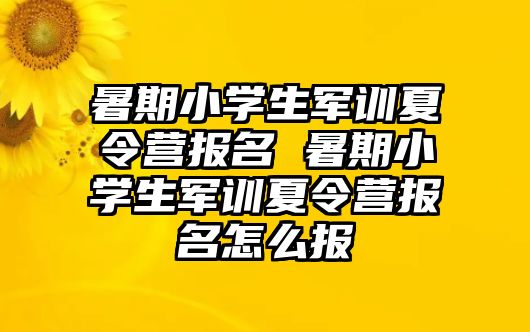 暑期小學生軍訓夏令營報名 暑期小學生軍訓夏令營報名怎么報