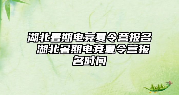 湖北暑期電競夏令營報名 湖北暑期電競夏令營報名時間