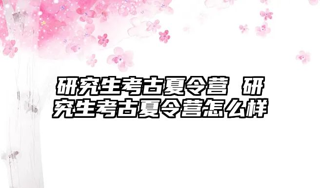 研究生考古夏令營 研究生考古夏令營怎么樣