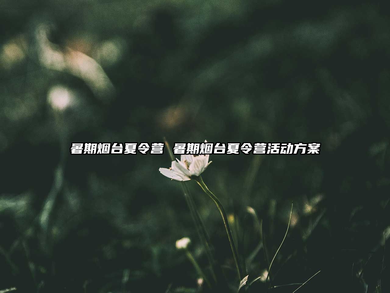 暑期煙臺(tái)夏令營(yíng) 暑期煙臺(tái)夏令營(yíng)活動(dòng)方案