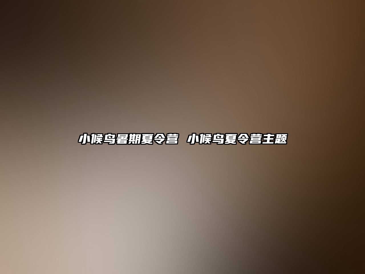 小候鳥暑期夏令營(yíng) 小候鳥夏令營(yíng)主題