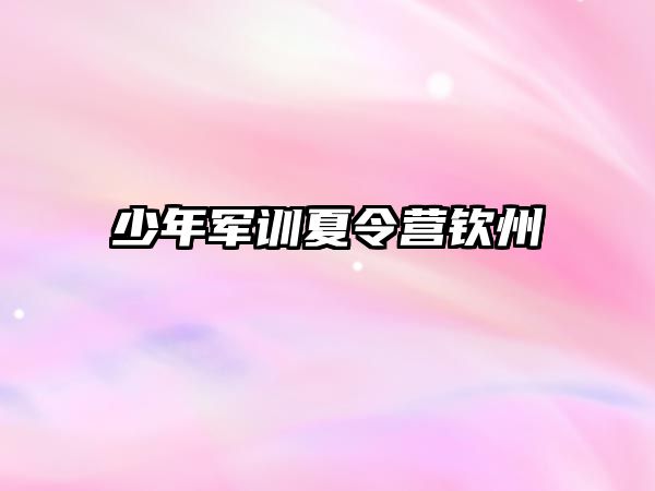 少年軍訓夏令營欽州 