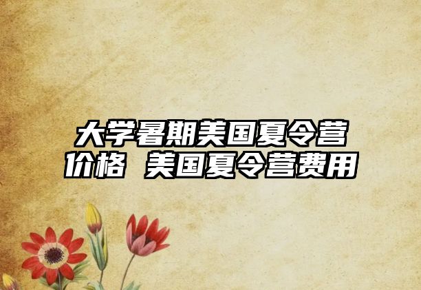 大學暑期美國夏令營價格 美國夏令營費用