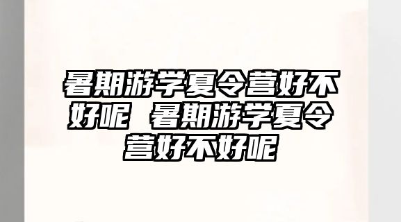 暑期游學夏令營好不好呢 暑期游學夏令營好不好呢