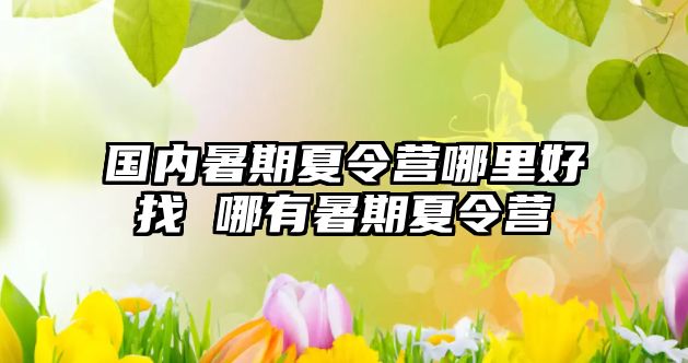 國內暑期夏令營哪里好找 哪有暑期夏令營
