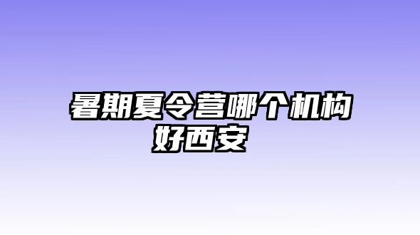 暑期夏令營(yíng)哪個(gè)機(jī)構(gòu)好西安 