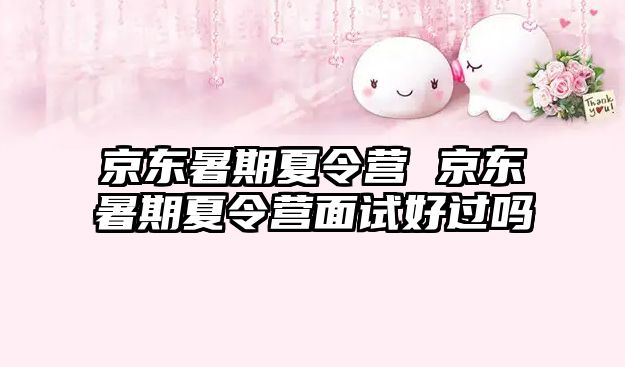 京東暑期夏令營 京東暑期夏令營面試好過嗎