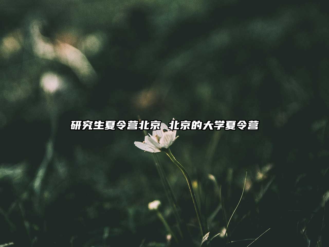 研究生夏令營北京 北京的大學夏令營