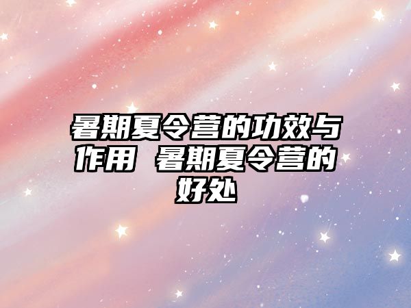 暑期夏令營的功效與作用 暑期夏令營的好處