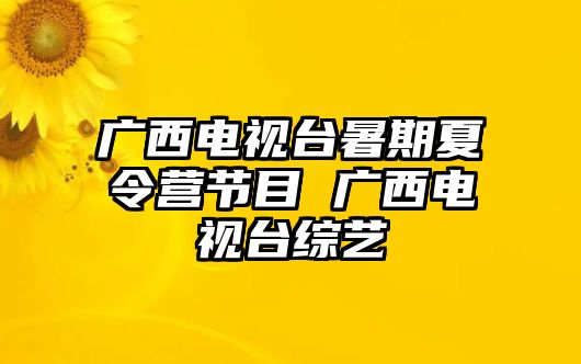 廣西電視臺暑期夏令營節目 廣西電視臺綜藝