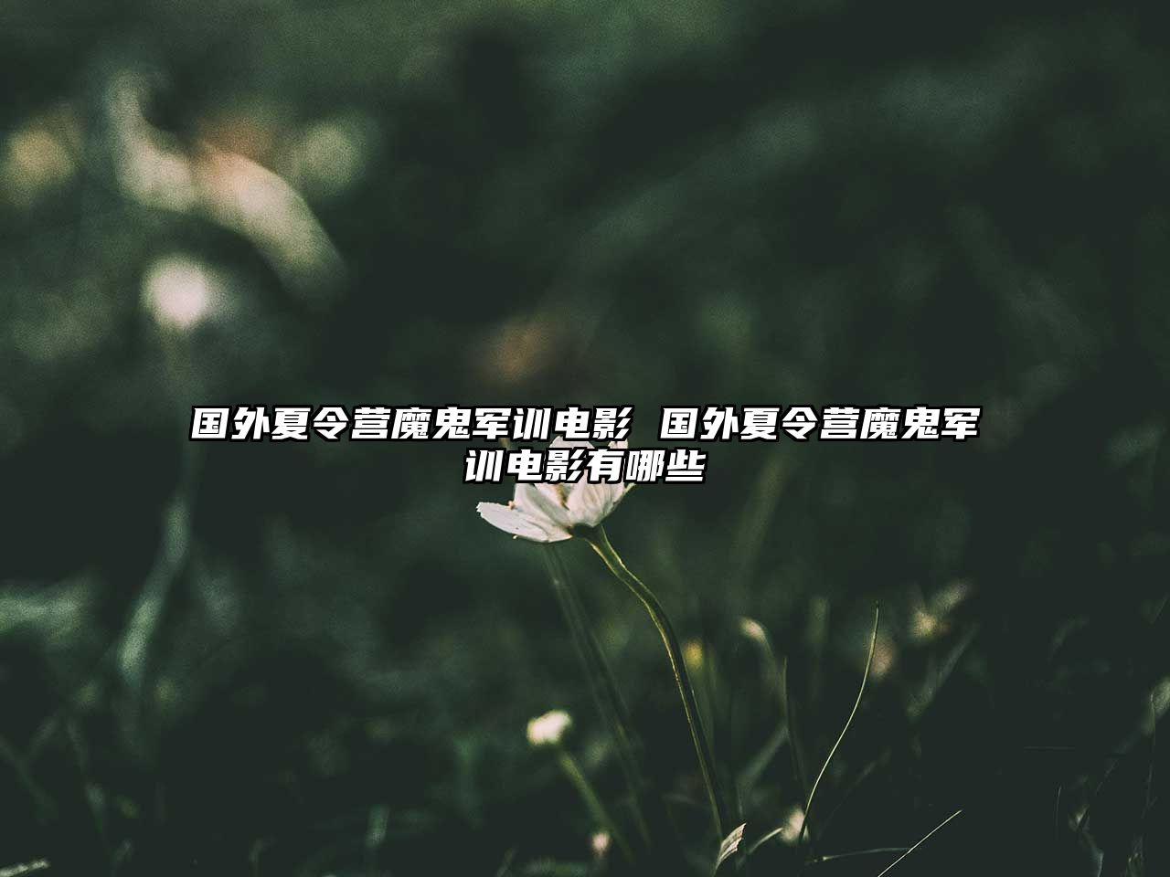 國外夏令營魔鬼軍訓電影 國外夏令營魔鬼軍訓電影有哪些