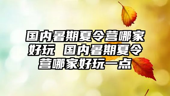 國內(nèi)暑期夏令營哪家好玩 國內(nèi)暑期夏令營哪家好玩一點(diǎn)