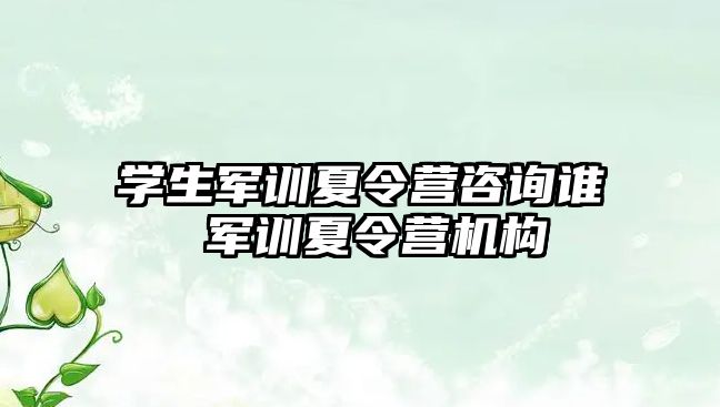 學生軍訓夏令營咨詢誰 軍訓夏令營機構