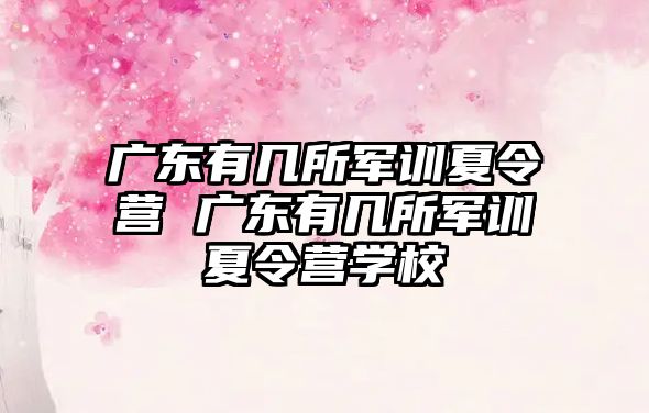 廣東有幾所軍訓(xùn)夏令營(yíng) 廣東有幾所軍訓(xùn)夏令營(yíng)學(xué)校
