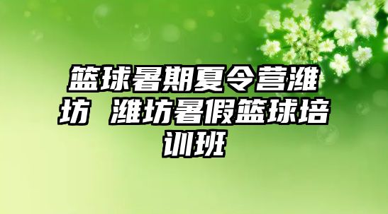 籃球暑期夏令營濰坊 濰坊暑假籃球培訓班