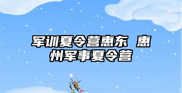 軍訓夏令營惠東 惠州軍事夏令營