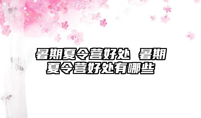 暑期夏令營好處 暑期夏令營好處有哪些