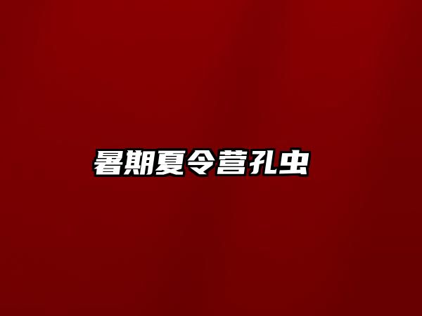 暑期夏令營孔蟲 