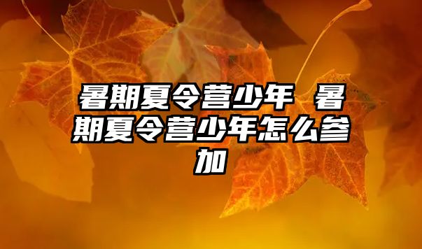 暑期夏令營少年 暑期夏令營少年怎么參加