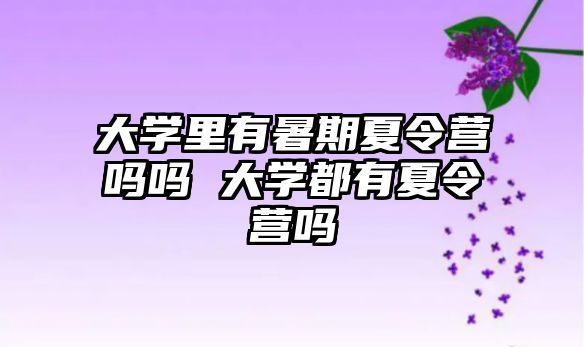 大學里有暑期夏令營嗎嗎 大學都有夏令營嗎