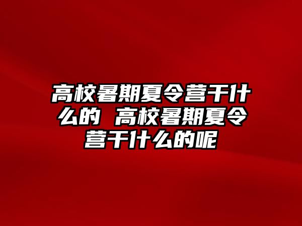 高校暑期夏令營干什么的 高校暑期夏令營干什么的呢