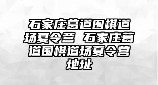 石家莊葛道圍棋道場夏令營 石家莊葛道圍棋道場夏令營地址