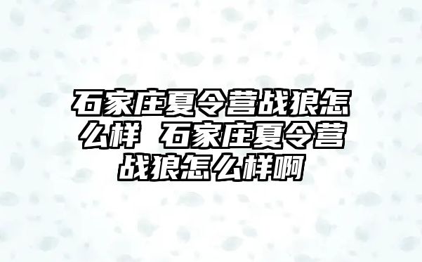 石家莊夏令營戰狼怎么樣 石家莊夏令營戰狼怎么樣啊