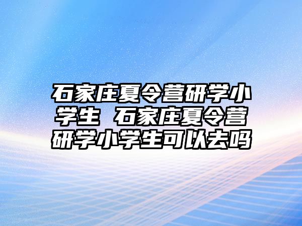 石家莊夏令營研學小學生 石家莊夏令營研學小學生可以去嗎